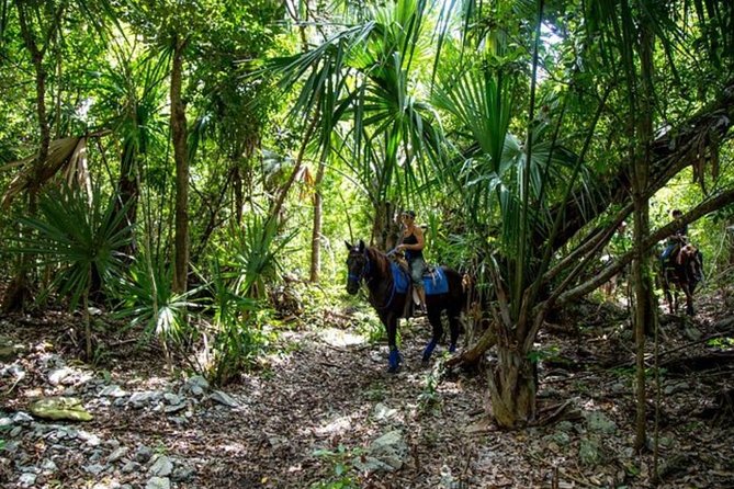 Award-winning Classic Horseback Ride (max. 6 riders) - A pause for ruins, plants, and local stories