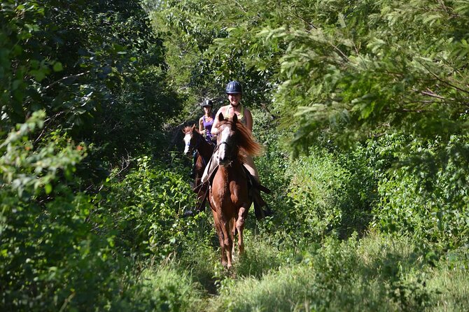 Award-winning Private Classic Horseback Ride - Stories, plants, and a midway pause