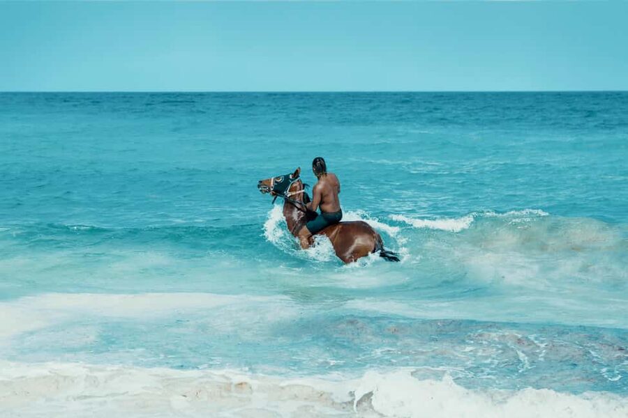 Bahamas: Nassau Horseback Riding on Beaches & Trails - Key points to know before you book