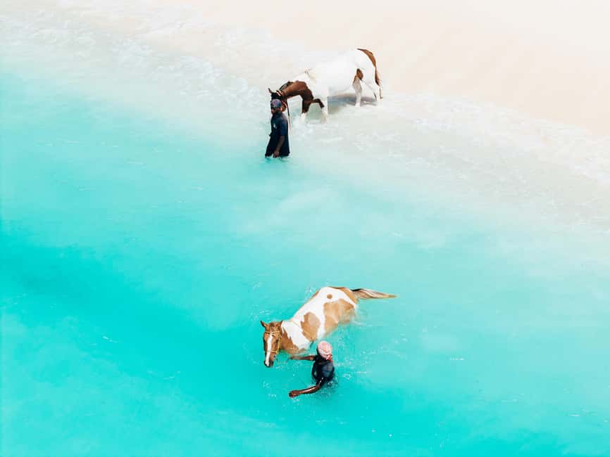 Bahamas: Nassau Horseback Riding on Beaches & Trails - Two private beaches, with time to take it in