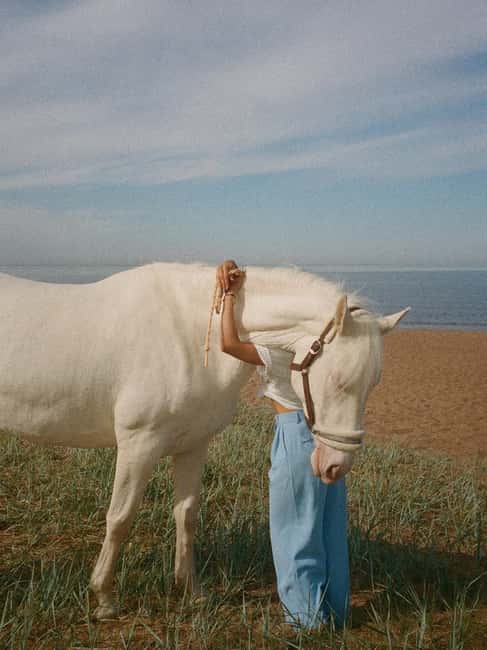 Bahamas: Nassau Horseback Riding on Beaches & Trails - Riding into the Caribbean Sea