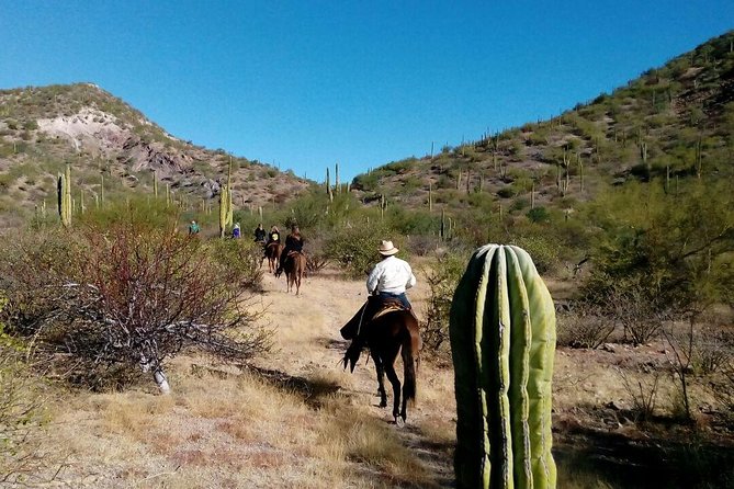 Baja Desert Horseback Riding Tour - Key points to know before you book
