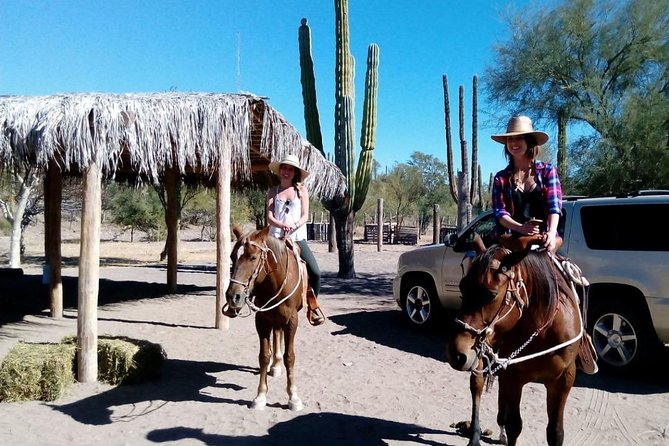 Baja Desert Horseback Riding Tour - A quiet ride through Loreto’s Baja desert