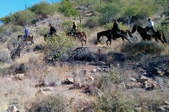 Baja Desert Horseback Riding Tour - What happens during the 10-minute riding introduction