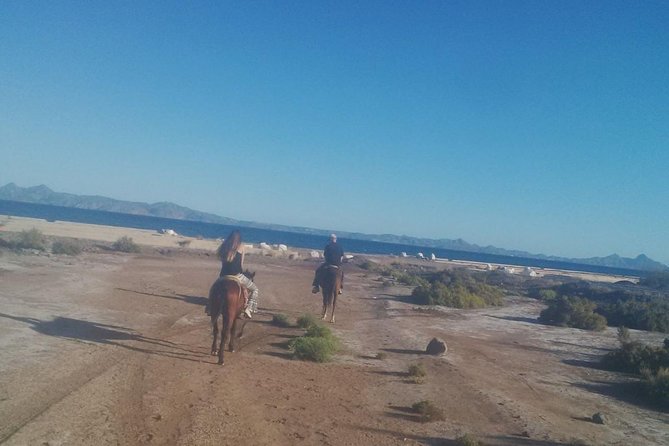 Baja Desert Horseback Riding Tour - Old roads, canyons, plants, and local history
