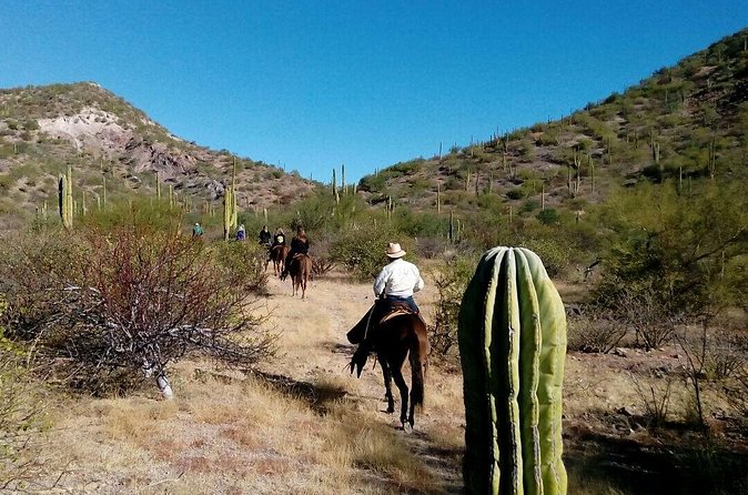 Baja Desert Horseback Riding Tour - The coastal section near Loreto Bay National Marine Park