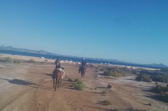 Baja Desert Horseback Riding Tour - The homemade tortillas and food stop