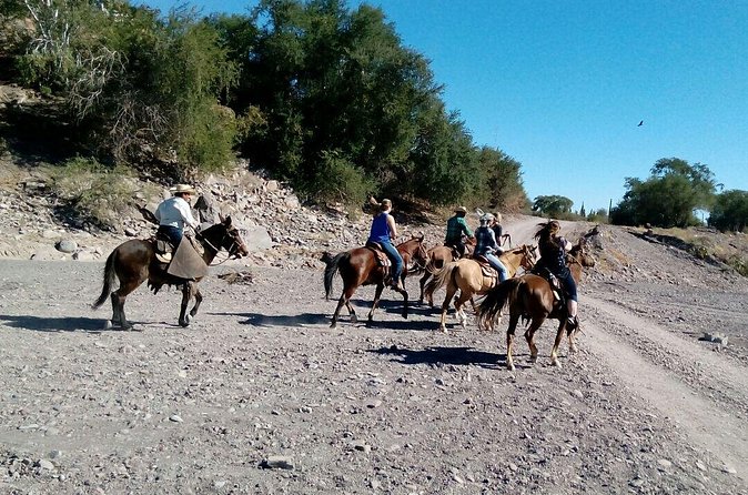 Baja Desert Horseback Riding Tour - Who will enjoy this ride most?
