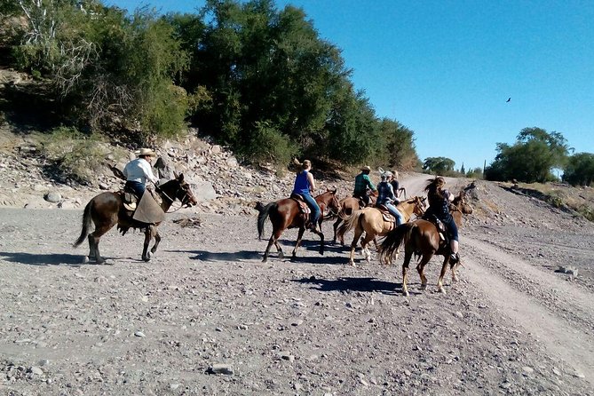 Baja Desert Horseback Riding Tour - The view: Sierra La Giganta and the Sea of Cortez