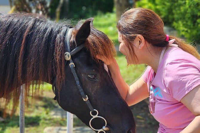 Bali Beach Horse Riding combo with waterfall All Inclusive - What the $115 price really covers