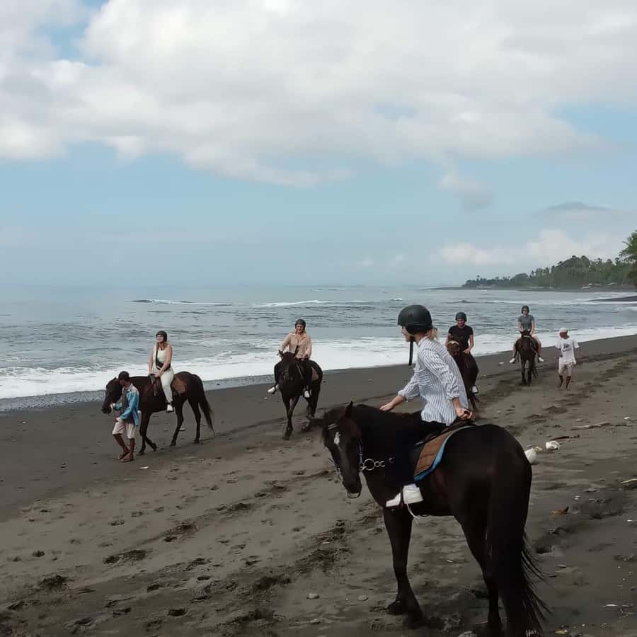 Bali Horse ride at Saba beach Horse tour - Who will enjoy this ride most?