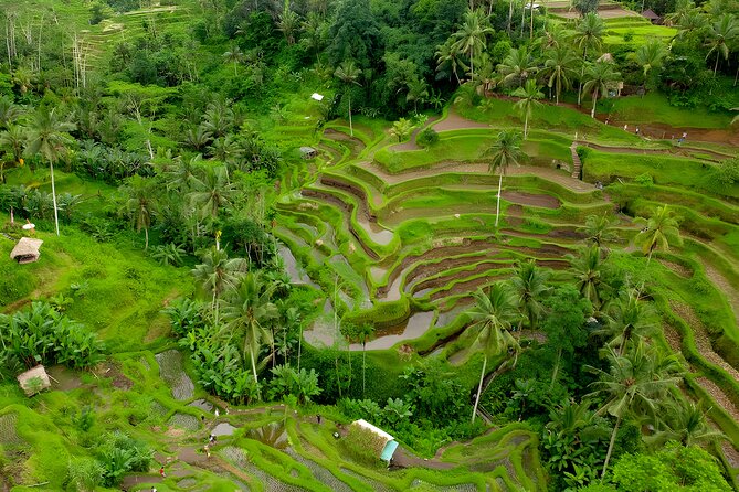 Bali Horse Riding Activity and Full-Day Trip in Ubud - Celuk’s gold and silver workshops