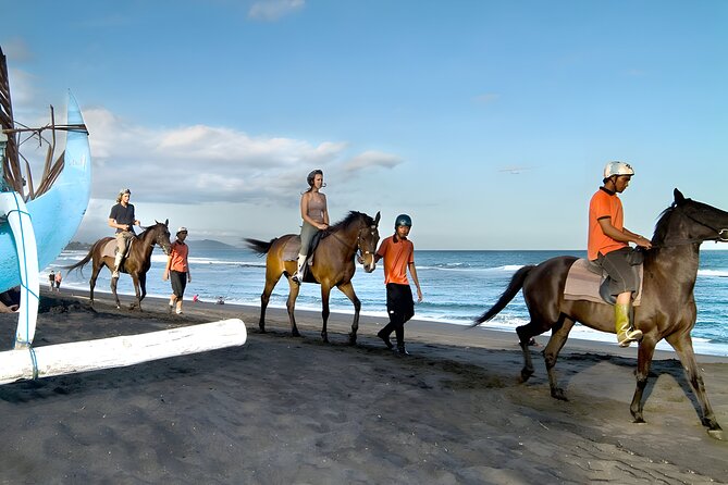 Bali Horse Riding and ATV Ride Packages : Best Quad Bike Trip - At a glance