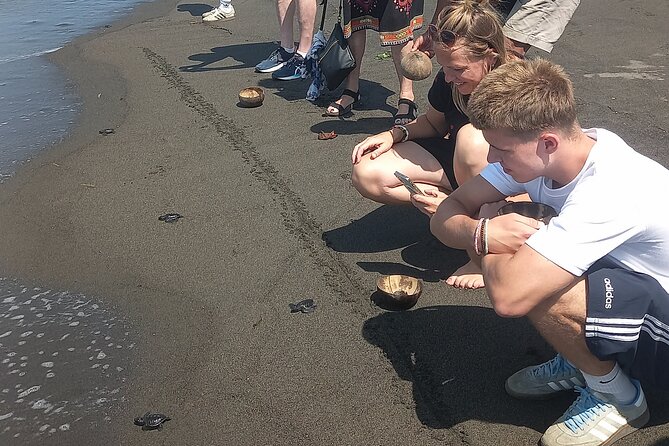 Bali Horse Riding and Turtle Release at Saba Beach - How the private format changes the day