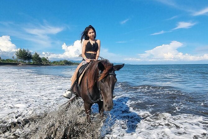 Bali Horse Riding and Turtle Release at Saba Beach - Useful planning details before you book
