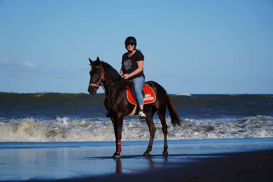Bali: Horse Riding Experience in Sanur (1 Hour ride) - Beginner pace or faster beach riding