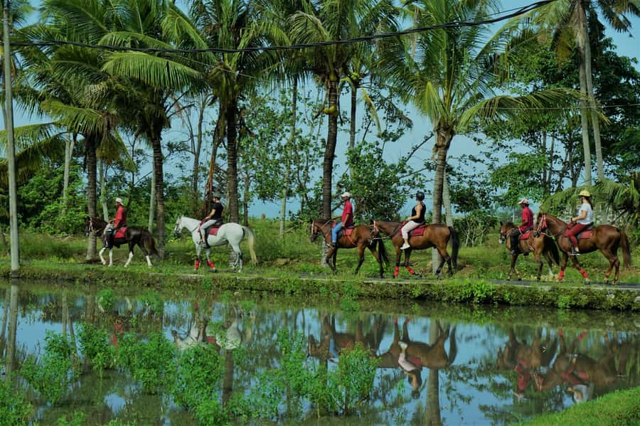 Bali: Horse Riding on Pigstone Beach and in the Rice Fields - From Kuda P Stables to Bali’s Rice Fields