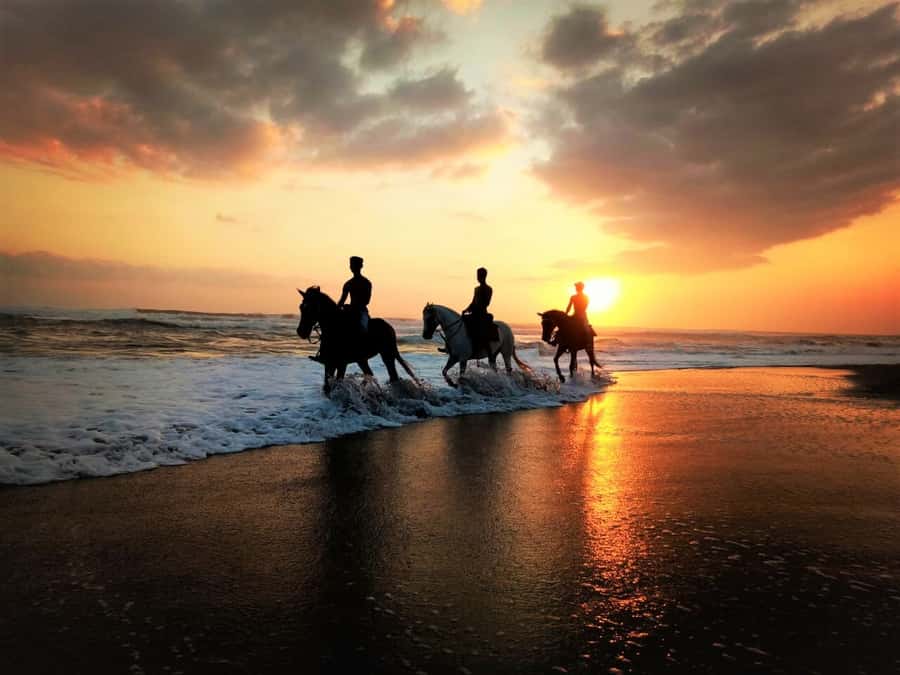 Bali: Horse Riding on Pigstone Beach and in the Rice Fields - Guides, Instruction, and Safety