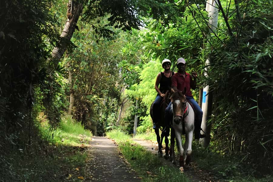 Bali: Horse Riding on Pigstone Beach and in the Rice Fields - Pickup, Groups, and the Real Cost