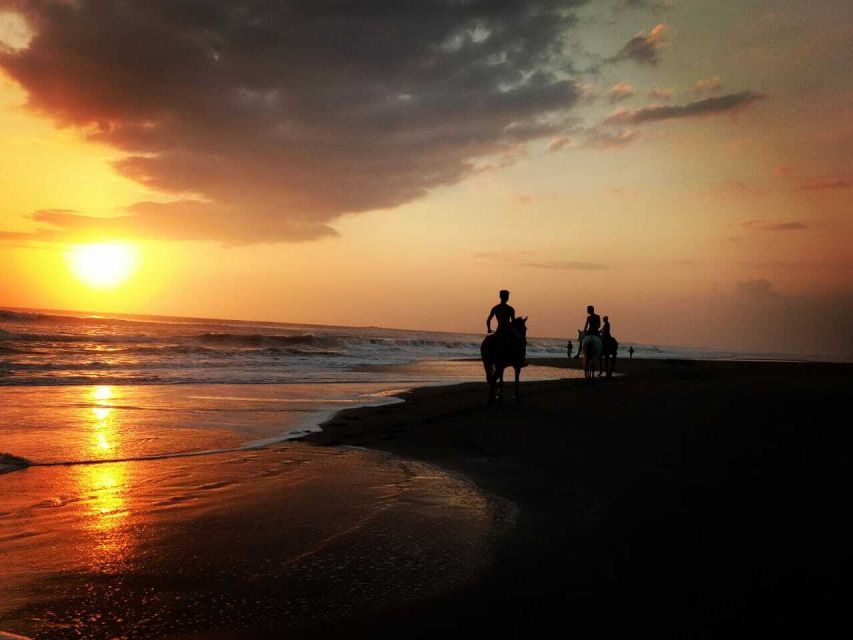 Bali: Horse Riding on Pigstone Beach and in the Rice Fields - Should You Book the Pigstone Beach Ride?
