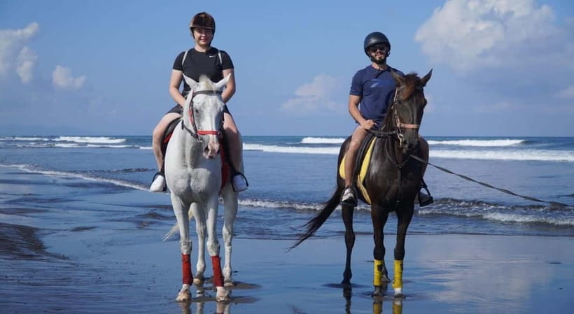Bali: Horse Riding on the beach experience with free shuttle - Horse handling and safety concerns