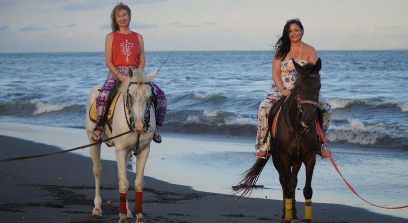 Bali: Horse Riding on the beach experience with free shuttle - Feeding the horses and visiting the stables