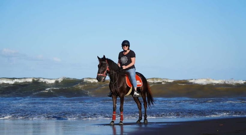 Bali: Horse Riding on the beach experience with free shuttle - Is $44 a fair price?