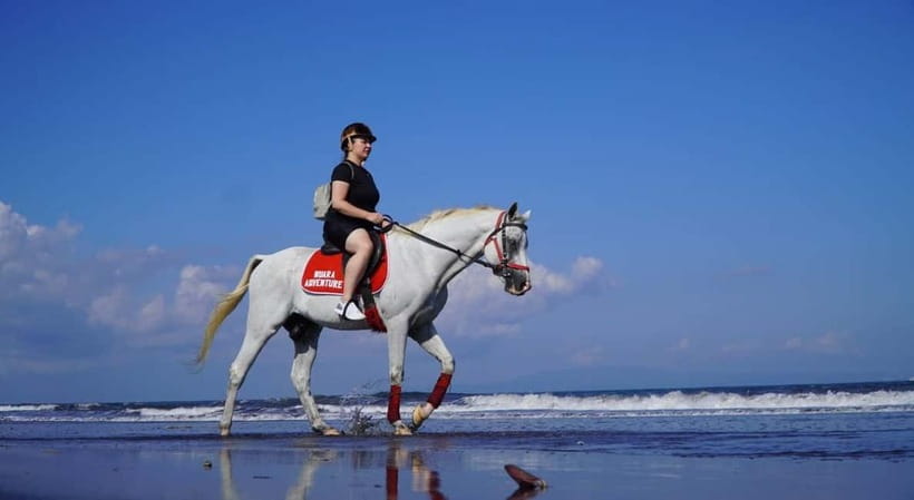Bali: Horse Riding on the beach experience with free shuttle - What the riding pace is really like