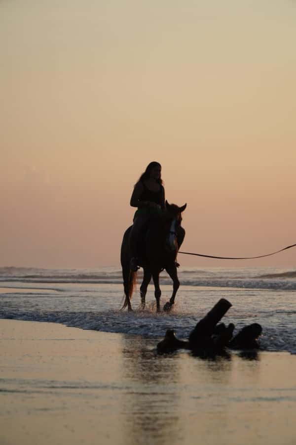 Bali: Horse Riding Sanur Beach Experience with Transport - What the one-hour horse ride feels like