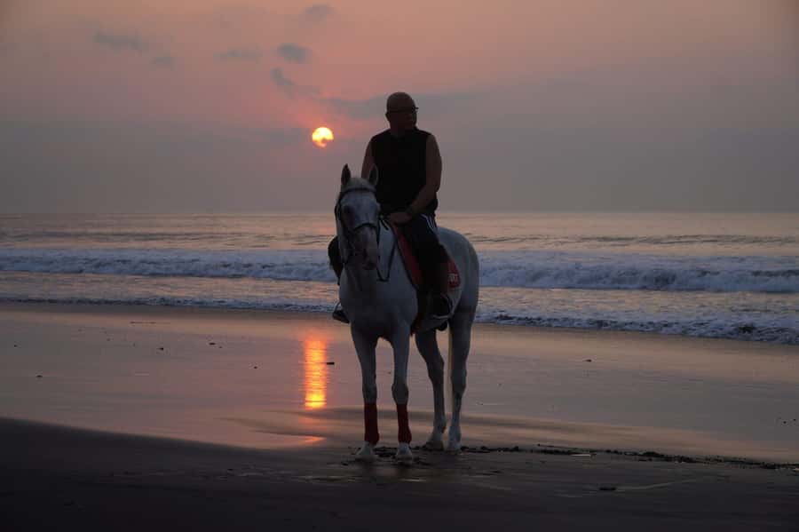 Bali: Horse Riding Sanur Beach Experience with Transport - Transport from five Bali areas