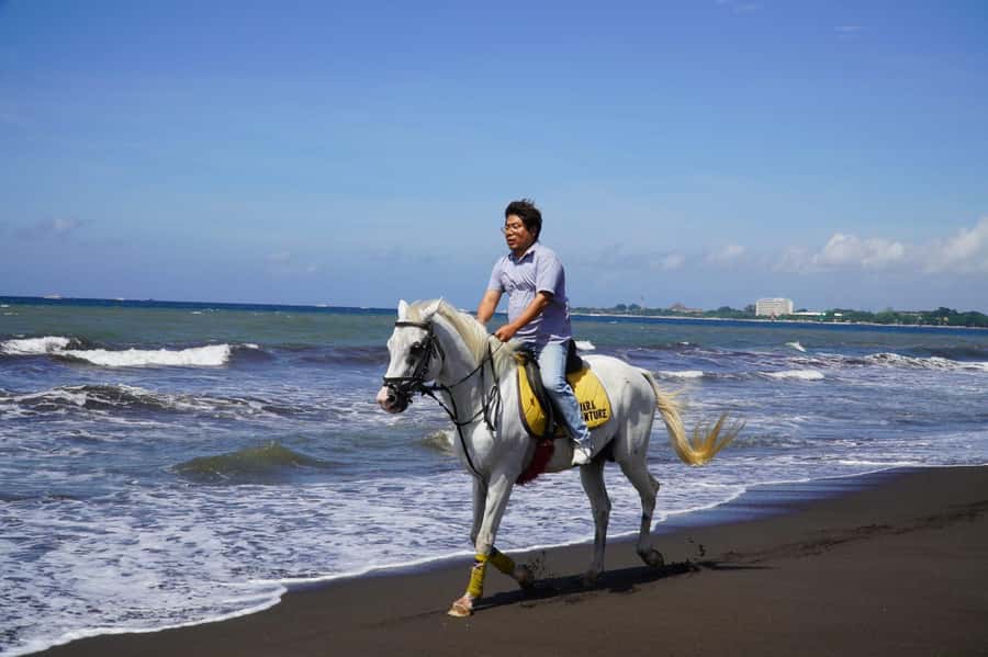 Bali: Horse Riding Sanur Beach Experience with Transport - Cancellation and booking flexibility