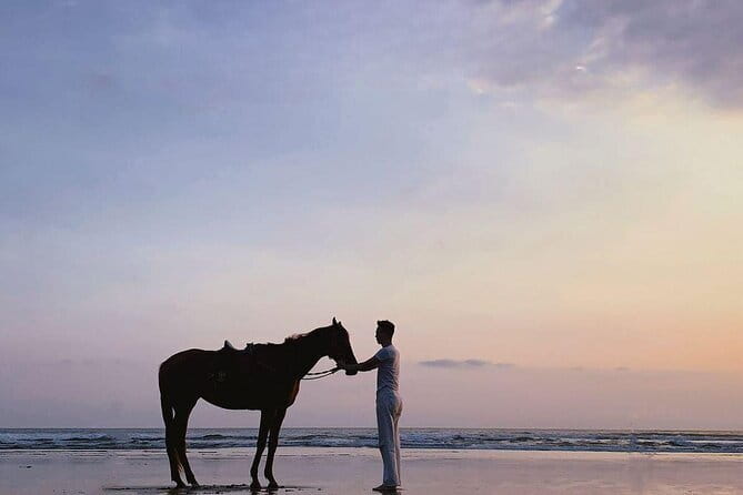 Bali Horse Riding Sanur Beach include Transport - What the $43.50 price covers