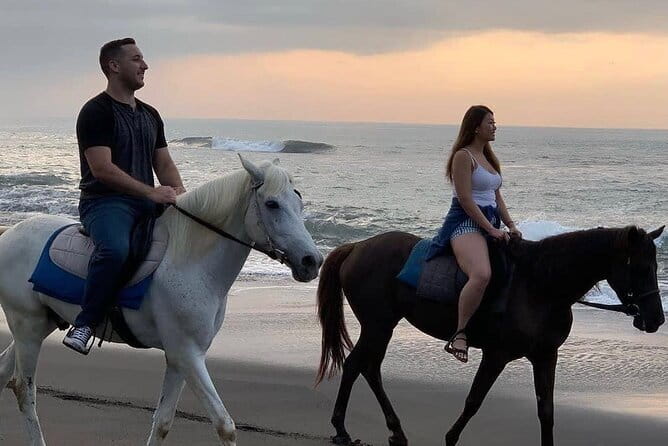 Bali Horse Riding Seminyak Beach Experience Private Transport - Key points to know before booking
