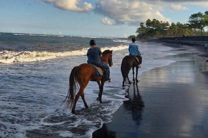 Bali Horse Riding Trot & Canter Saba Beach with Local Temple - A good choice for families and first-time riders