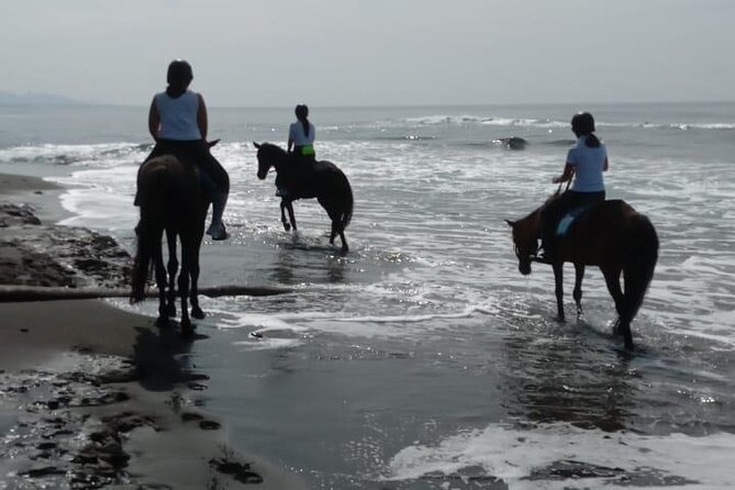 Bali Horse Riding Trot & Canter Saba Beach with Local Temple - What to bring and what to confirm