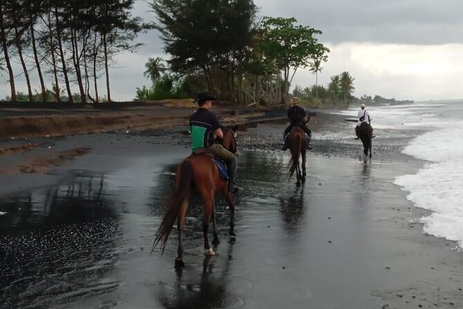 Bali Horse Riding Trot & Canter Saba Beach with Local Temple - Who should book this Saba Beach ride