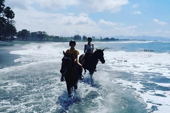 Bali Horse Riding Trot & Canter Saba Beach with Local Temple - Why the guide and photo service matter