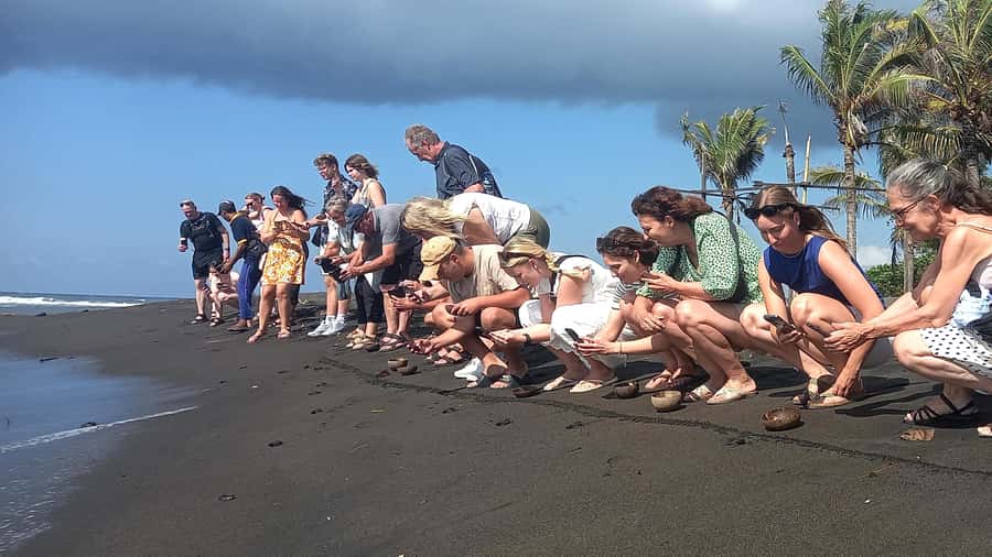 Bali: Horse Riding & Turtle Release Experience at Saba Beach - Lunch with room to choose