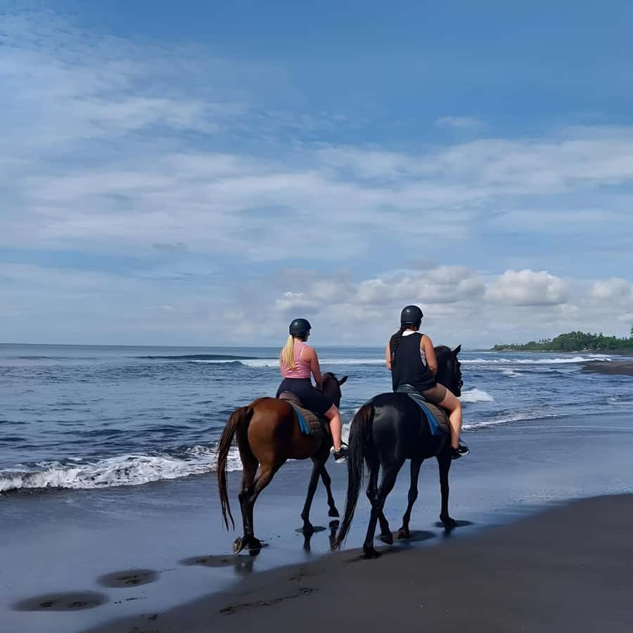 Bali: Horse Riding & Turtle Release Experience at Saba Beach - Should you book the Saba Beach turtle and horse ride?
