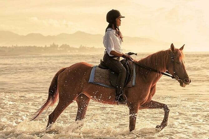 Bali Horse Riding, Waterfall, Rice Terrace, Lunch - All Inclusive - Why Saba Bay is the right place to start