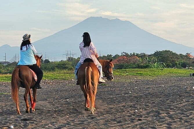 Bali Horse Riding, Waterfall, Rice Terrace, Lunch - All Inclusive - Tegalalang Rice Terrace and the lunch view
