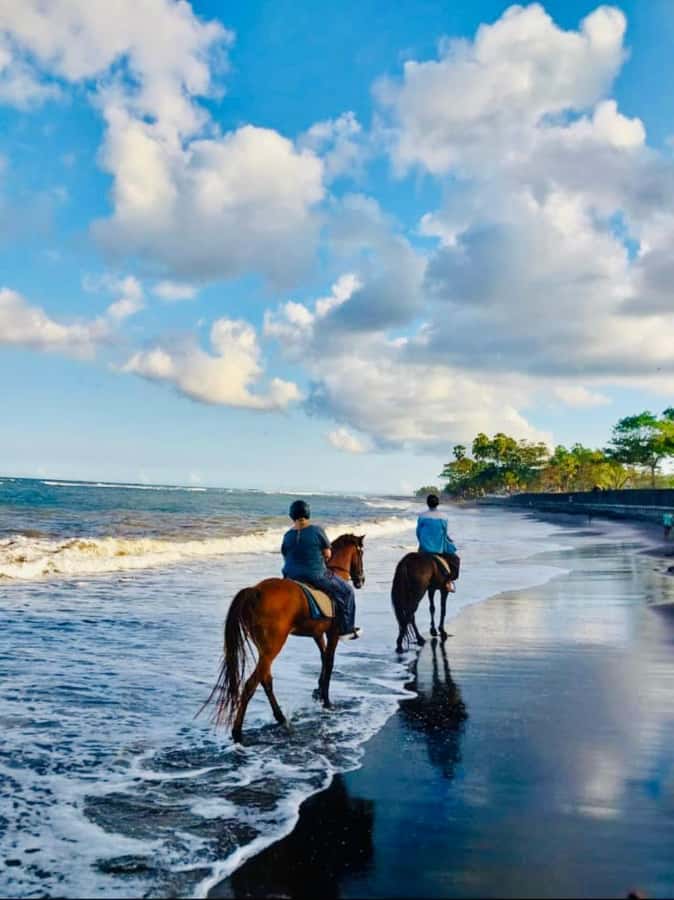 Bali: Horseback Tour Through Saba Beach and Local Temples. - Getting comfortable with your horse