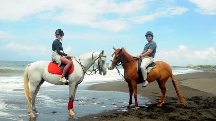 Bali: Sanur Horse Riding for Beginner Experience - Key points to know before you saddle up