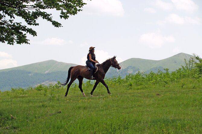 Balkan Horse Riding - Glozhene Monastery Ride - Meeting the horses and preparing for the trail
