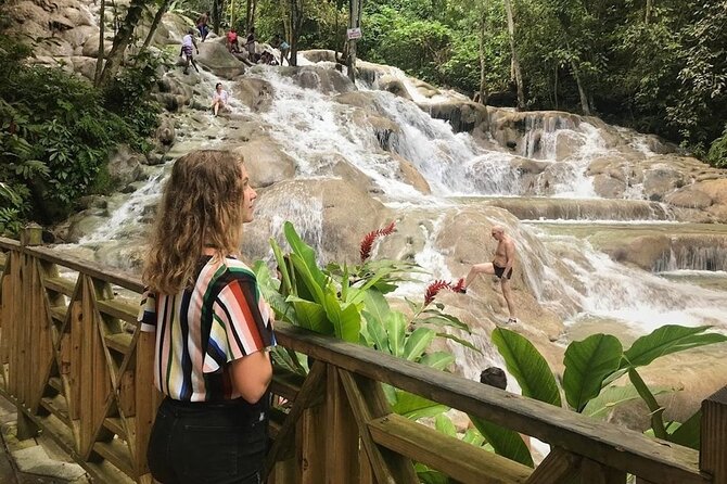 Bamboo Rafting, Dunn's River Falls and Horseback Riding Private Tour - What private transportation changes