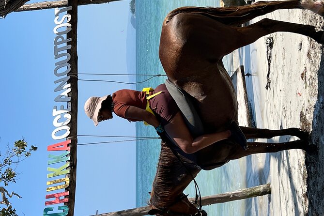 Bamboo Rafting & Horseback -dunns river Transportation Included - Who Will Enjoy This Most