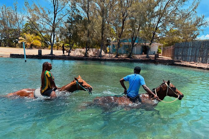 Bamboo Rafting & Horseback Ride n Swim Guided Tour In Montego Bay - Scotchies: a useful taste of Jamaica