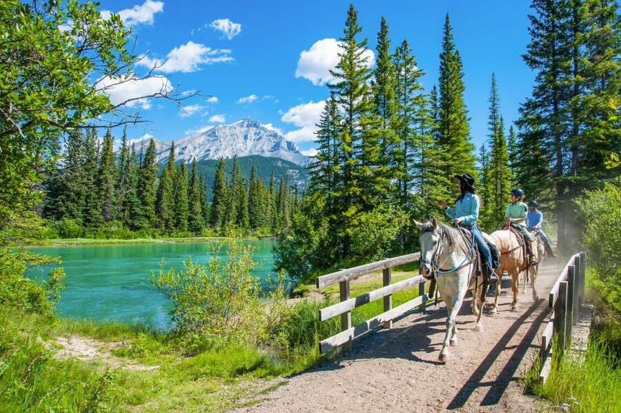 Banff National Park: 1-Hour Bow River Horseback Ride - Who should book this one-hour ride