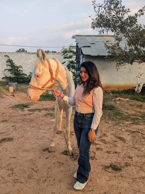 Bangalore: Horse Riding Safari Tour - Why this horse safari feels different from a standard riding lesson