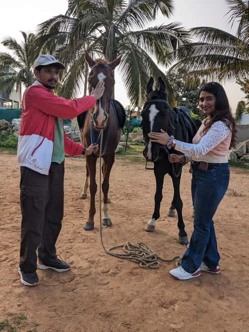 Bangalore: Horse Riding Safari Tour - Time to relax in the forest